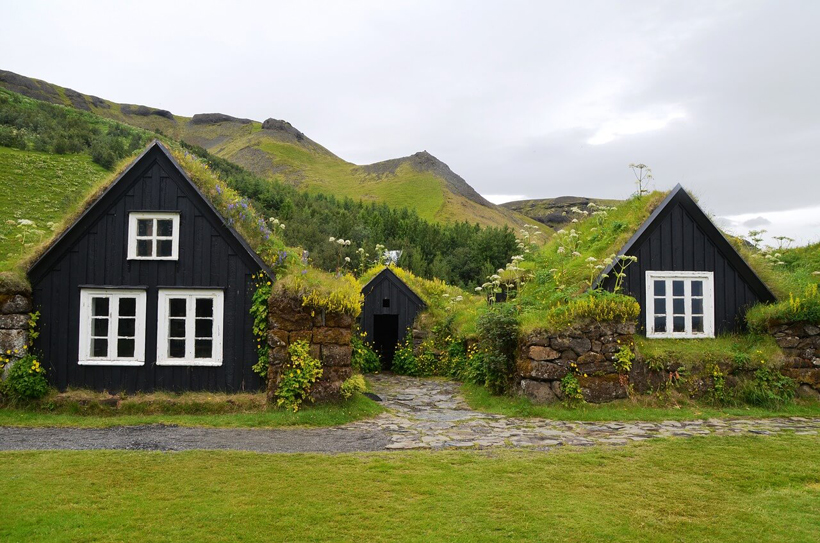 islandia-skogar-domy-dachy-trawa-infoloty.jpg