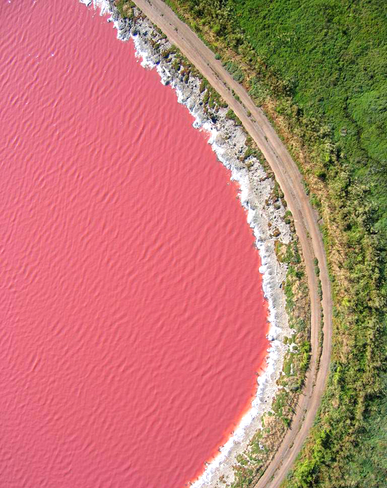 rozowe-jeziora-dusty-rose-lake.jpg