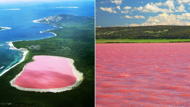 rozowe-jeziora-lake-hillier-infoloty.jpg